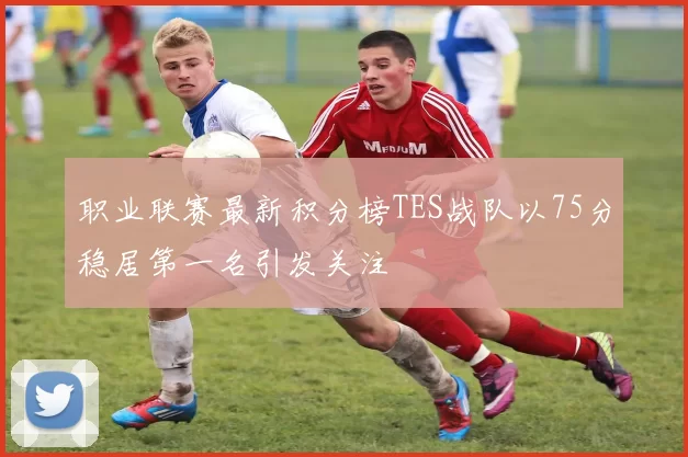 职业联赛最新积分榜TES战队以75分稳居第一名引发关注