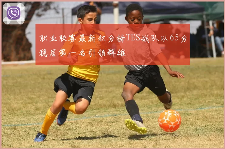 职业联赛最新积分榜TES战队以65分稳居第一名引领群雄