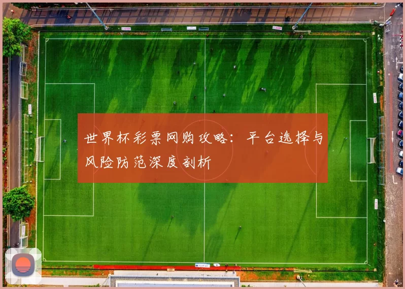 世界杯彩票网购攻略：平台选择与风险防范深度剖析