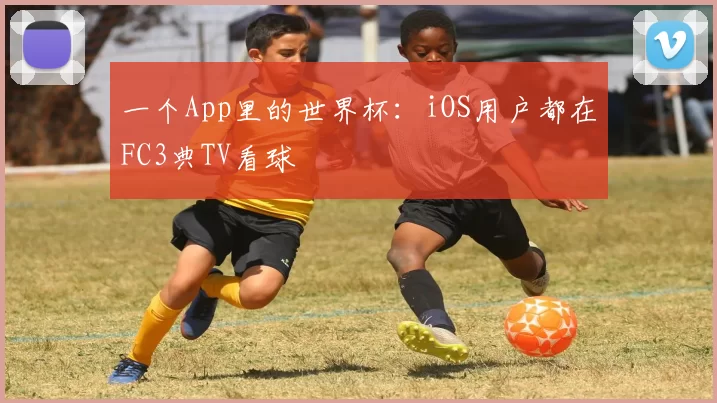 一个App里的世界杯：iOS用户都在FC3典TV看球