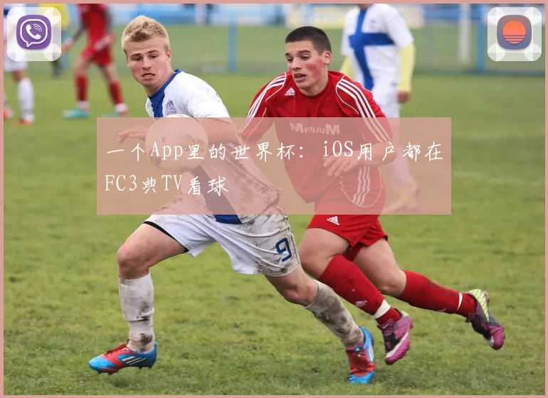 一个App里的世界杯:iOS用户都在FC3典TV看球