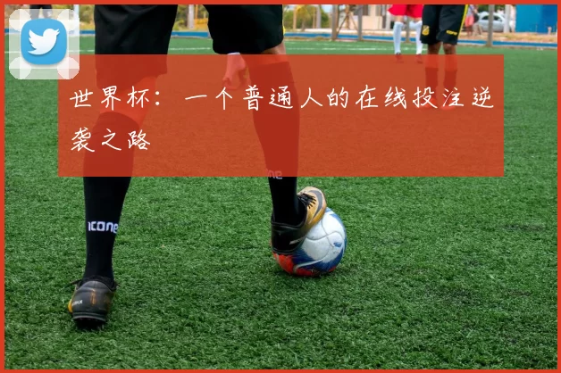 世界杯：一个普通人的在线投注逆袭之路