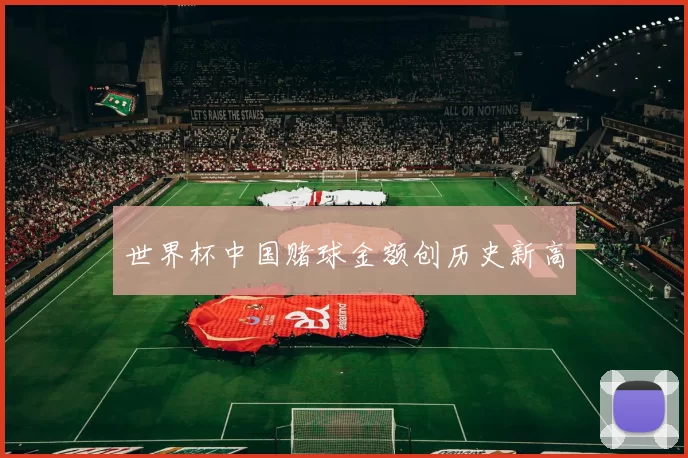 世界杯中国赌球金额创历史新高