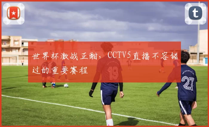 世界杯激战正酣，CCTV5直播不容错过的重要赛程