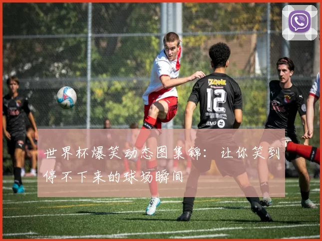 世界杯爆笑动态图集锦:让你笑到停不下来的球场瞬间
