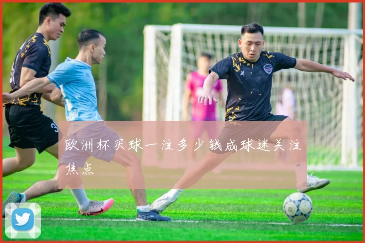 欧洲杯买球一注多少钱成球迷关注焦点