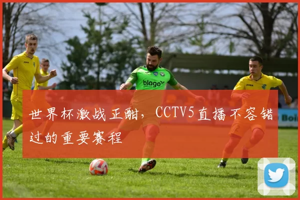 世界杯激战正酣，CCTV5直播不容错过的重要赛程
