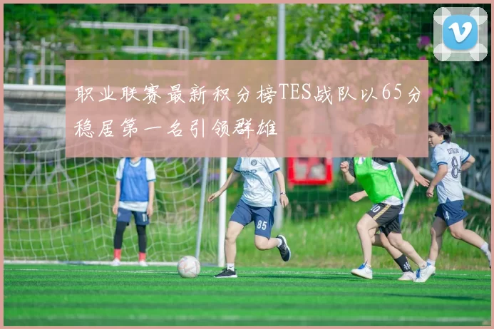 职业联赛最新积分榜TES战队以65分稳居第一名引领群雄