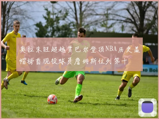 奥拉朱旺超越贾巴尔登顶NBA历史盖帽榜首现役球员詹姆斯位列第十